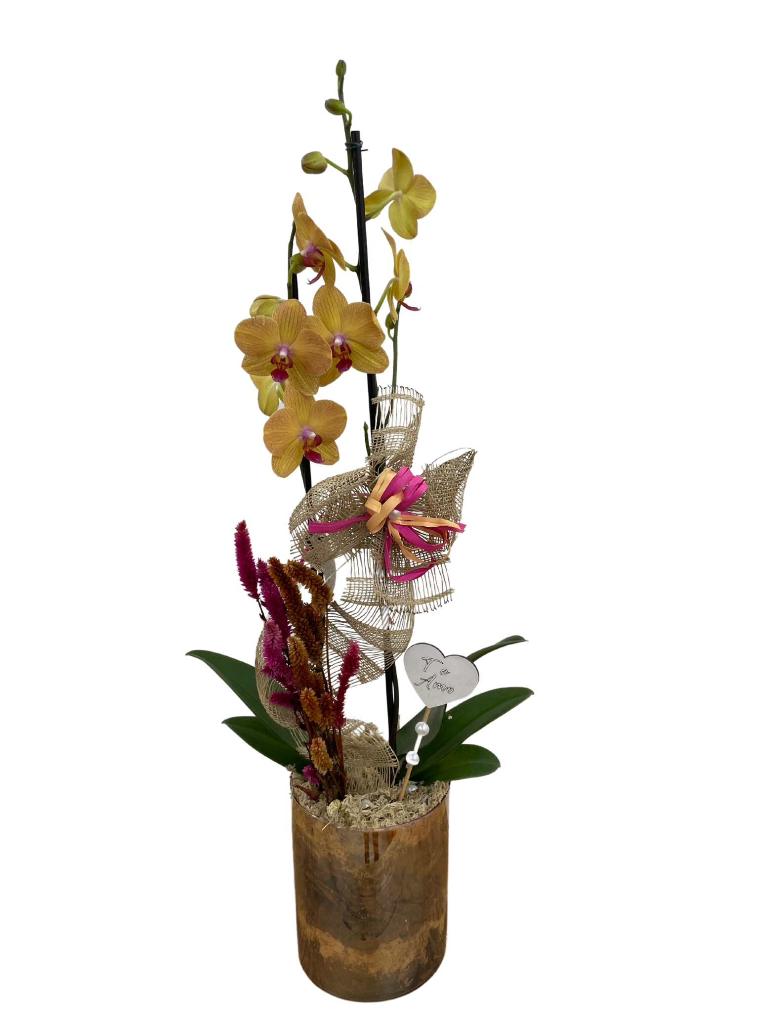 ORQUÍDEA NO TUBO DOURADO