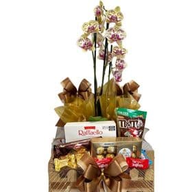 CESTA CHOCOLATE + ORQUIDEA 