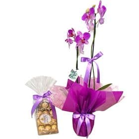 ORQUIDEA COM FERRERO ROCHER