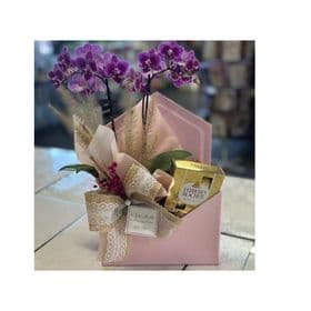 Box Envelope Mini Orquidea