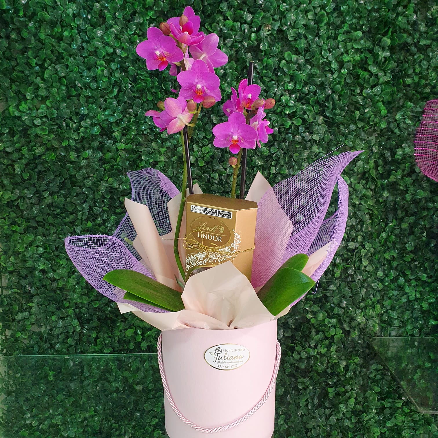 Mini Orquídea com Lindt 