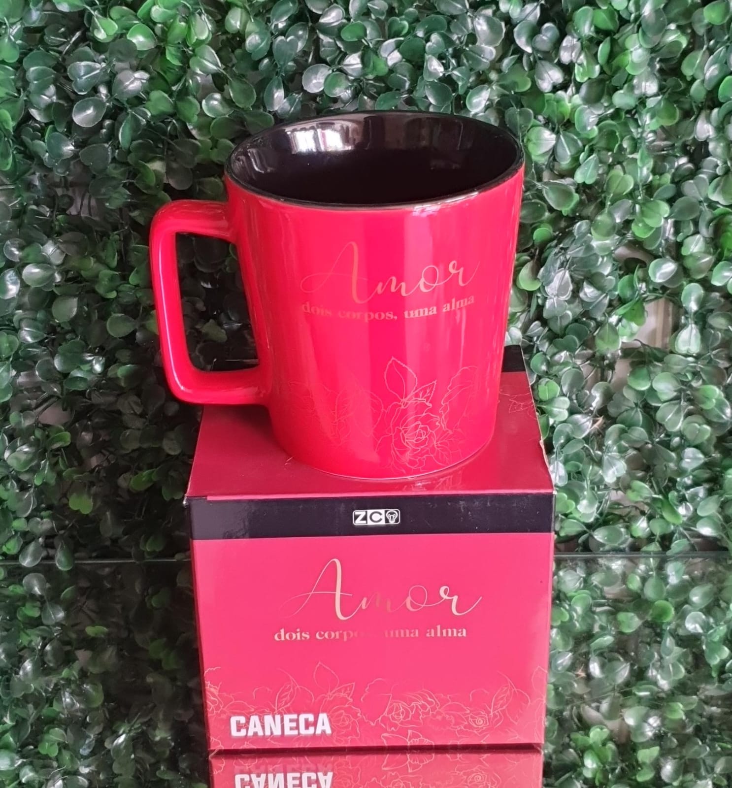 Caneca- Dois corpos, uma alma 