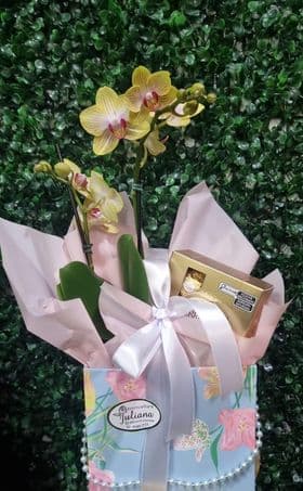 Bolsa com Mini Orquídea e Ferrero 4 unidades. 