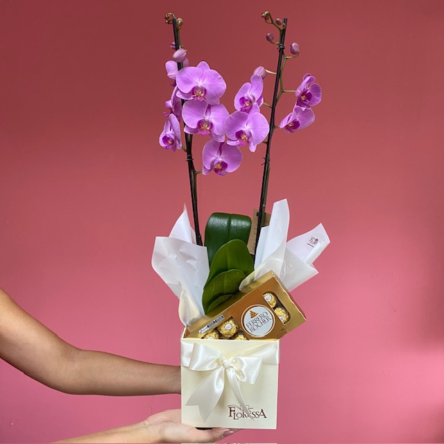 GIFT BOX ORQUIDEA