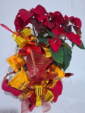 Cesta de Natal