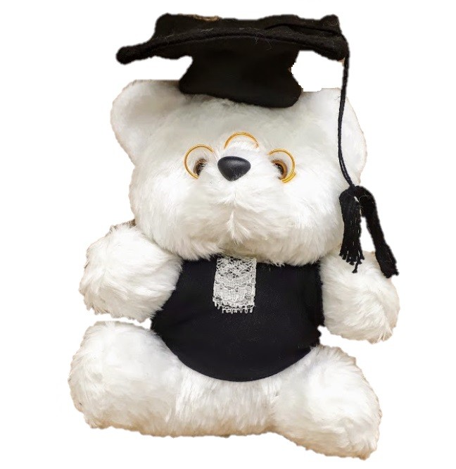 Urso Formatura 