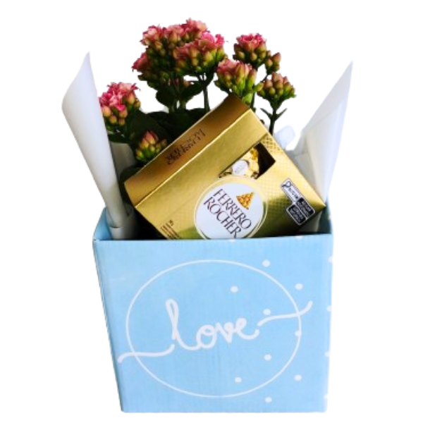 Cachepot Love com  Kalanchoe  e chocolate  