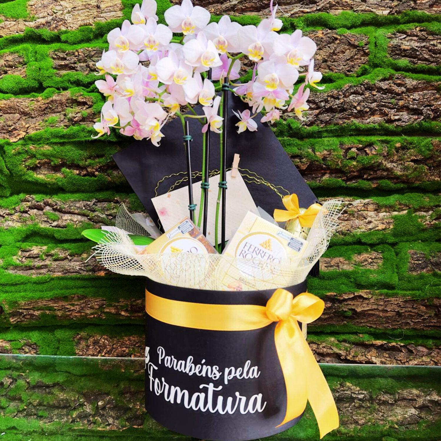 Box com orquidea espumante e chocolate PRÓSPERO