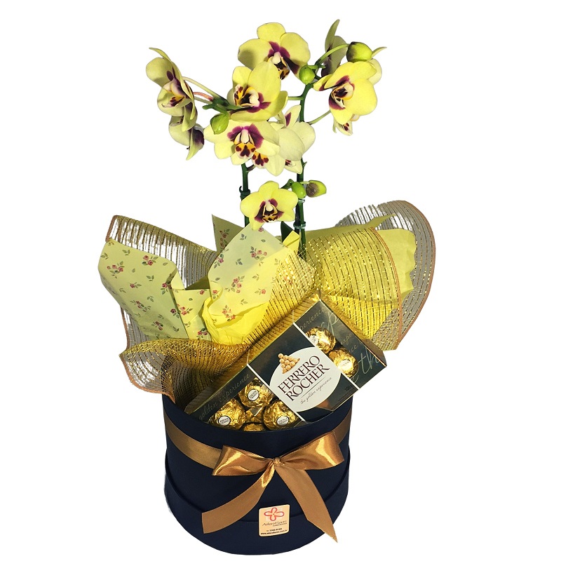 BOX com orquidea e ferrero rocher BUENOS AIRES