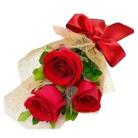 Buque Rosas Red