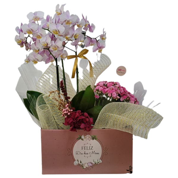 Orquidea na Caixa Personalizada 